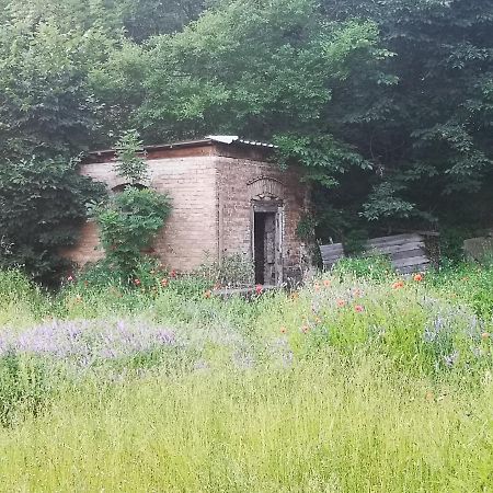 Gaestehaus Am Landgut Schonwalde-Glien Exterior foto